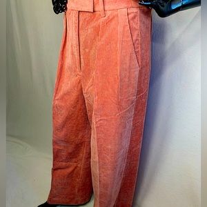Banana Republic Salmon Color Pleaded Pants